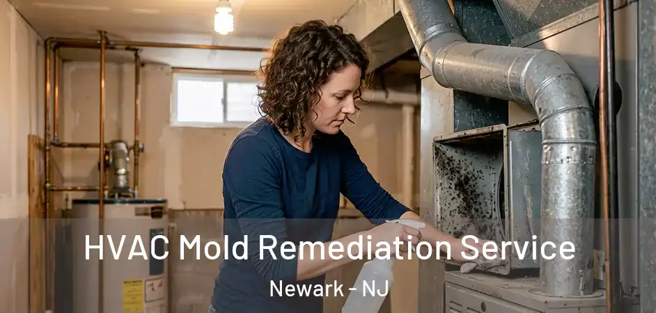  HVAC Mold Remediation Service Newark - NJ